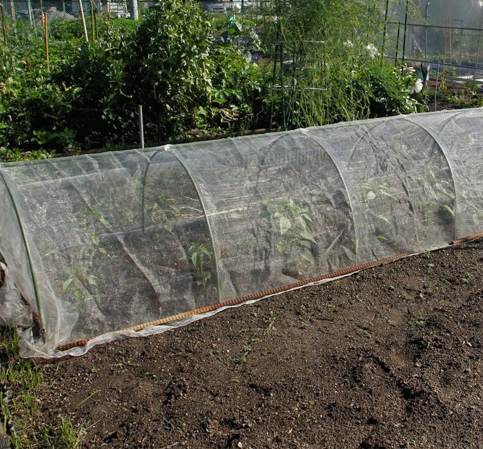 Filet anti-insecte Alt'Droso Maraichage - Rouleau de 100m