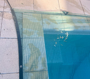 Filet Anti-feuilles avec oeillets : Le + économique