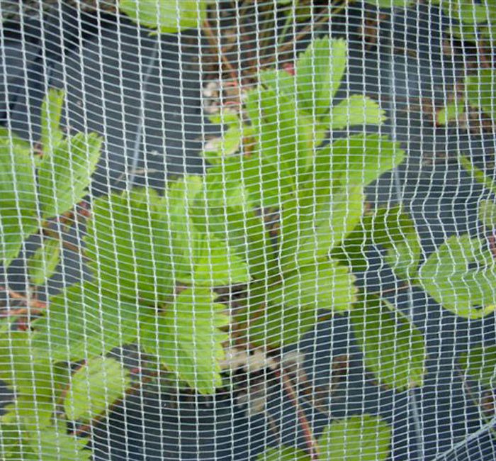 Filet anti-grêle 12x12m - 56g - avec connecteurs pont