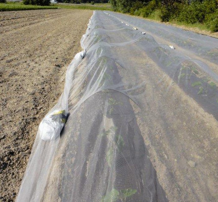 Filet anti-insecte Bioclimat - Rouleau de 100m