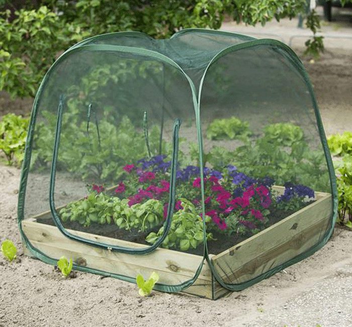 Filet anti-insecte pop-up pour carré potager