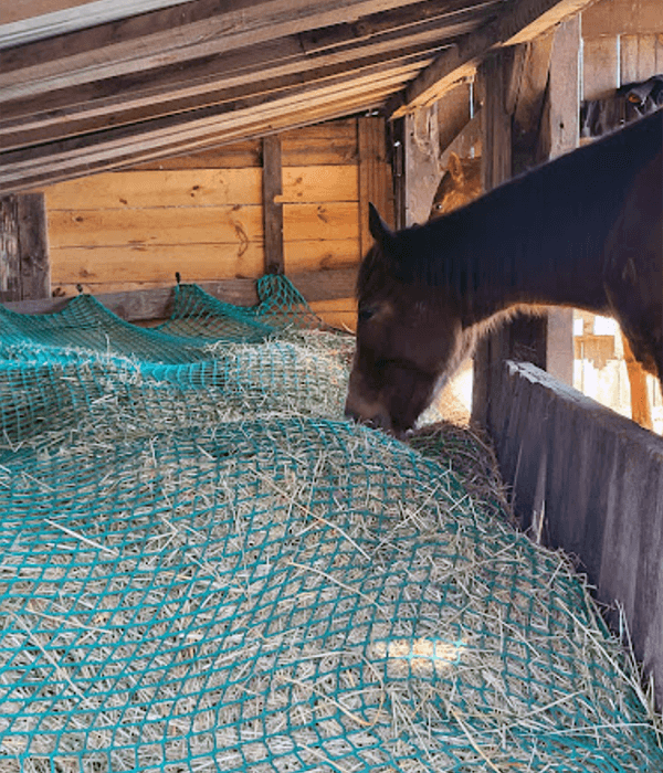 Filet à foin pour mangeoire à chevaux robuste - sur mesure