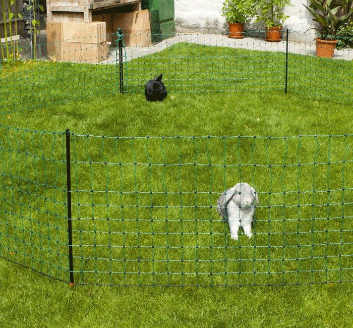 Filet lapin enclos amovible 12m (filet + piquets)