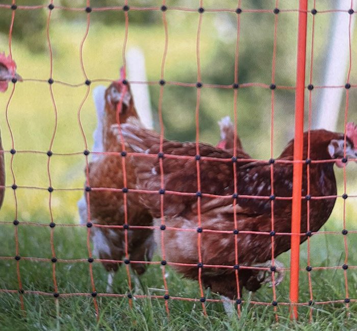 Poulailler Amovible 50m (filet + piquets)