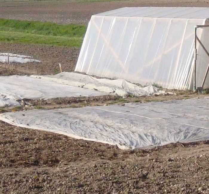 Voile d'hivernage - Rouleau de 100m